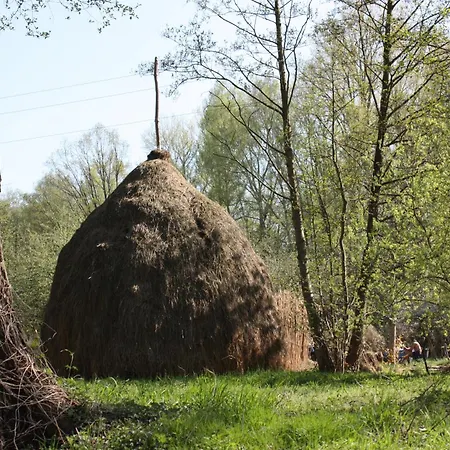 Lutkistube In 아파트 뤼벤