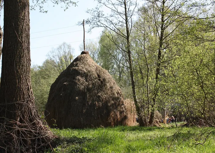 Lutkistube In Appartement Lübben